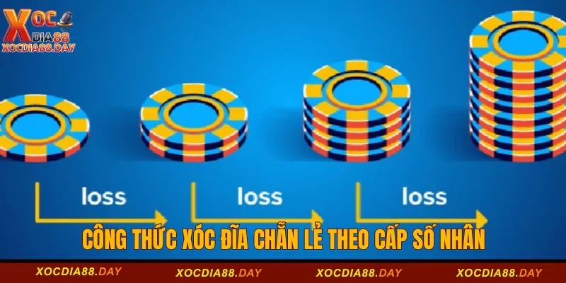 Công thức xóc đĩa chẵn lẻ theo cấp số nhân 