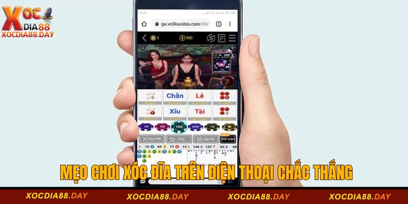 Mẹo chơi xóc đĩa trên điện thoại chắc thắng