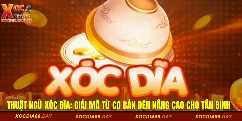 Thuật ngữ xóc đĩa