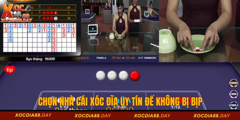 Chọn nhà cái Xóc đĩa uy tín để không bị bịp 